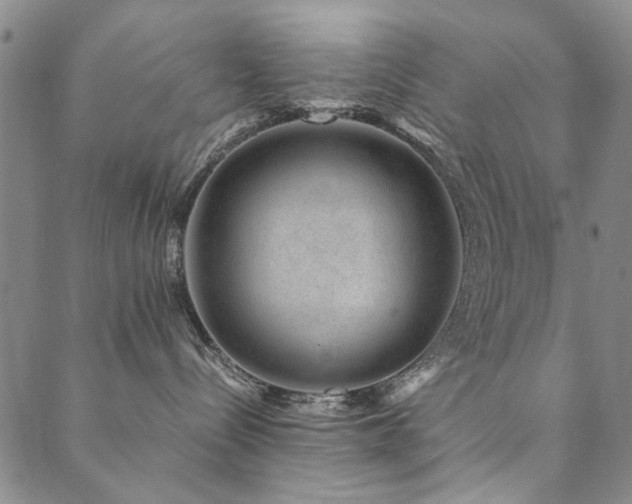 X0000090450288200707131236