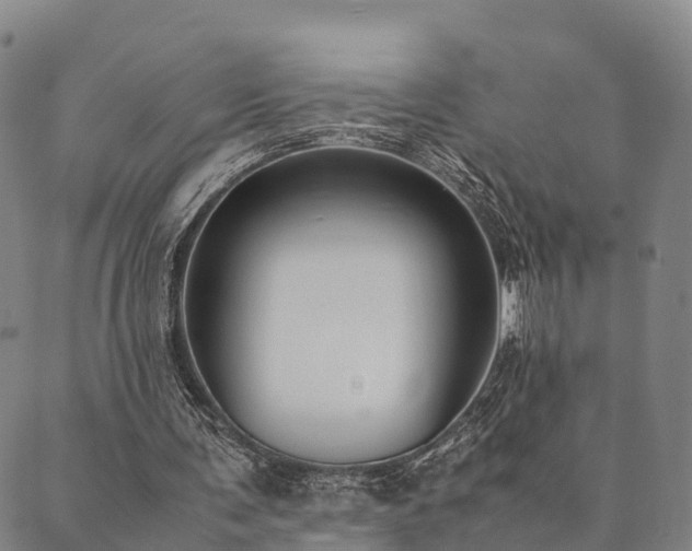 X0000090450291200707131235