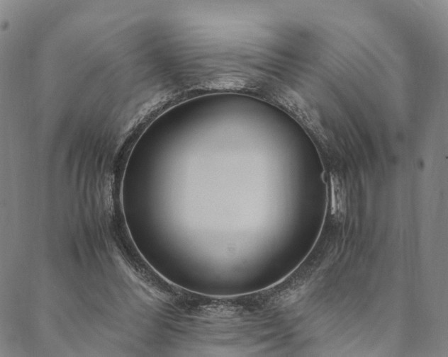X0000090450300200707131235