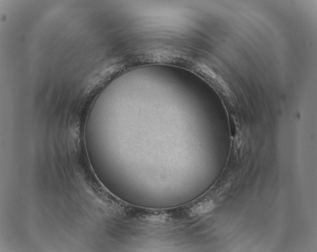 X0000090450306200707131235