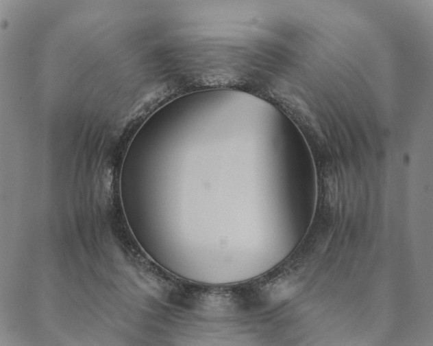 X0000090450308200707131235