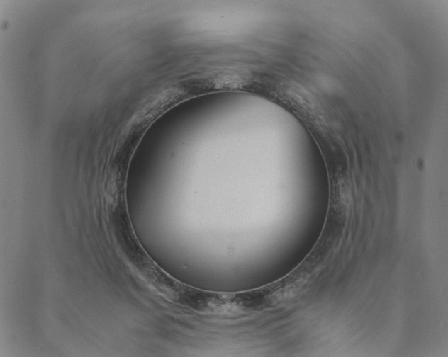 X0000090450311200707131235