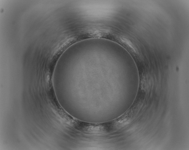 X0000090450314200707131235