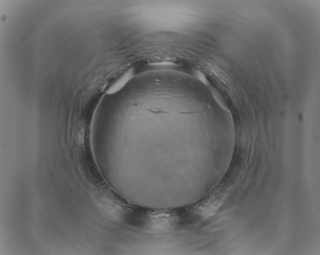 X0000090450315200707131235