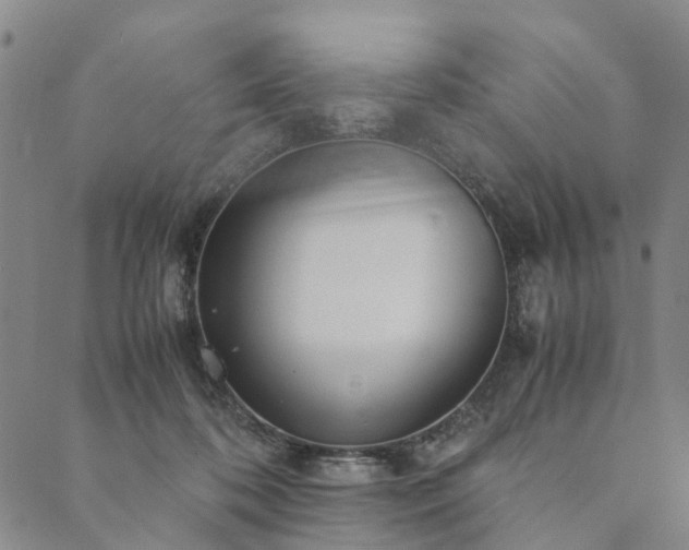 X0000090450316200707131235