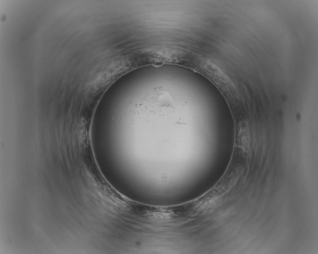 X0000090450318200707131235