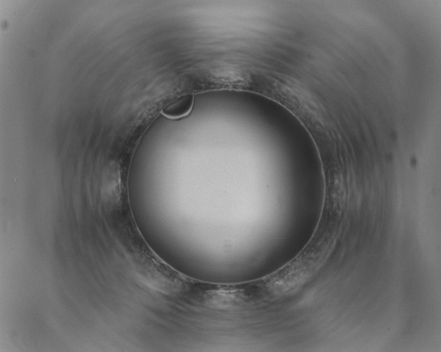 X0000090450320200707131235