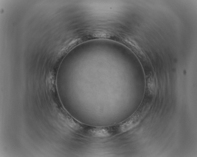 X0000090450322200707131235