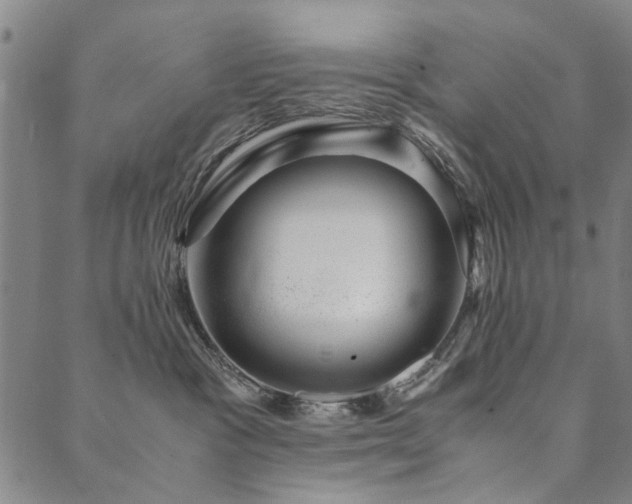 X0000090450333200707131234