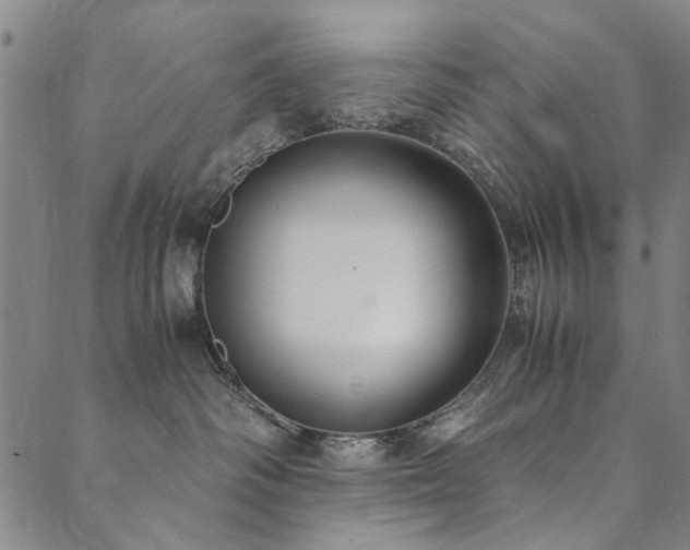 X0000090450334200707131234