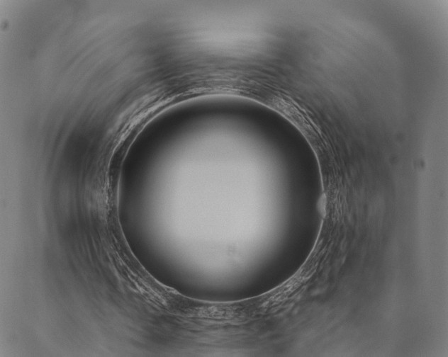 X0000090450338200707131234