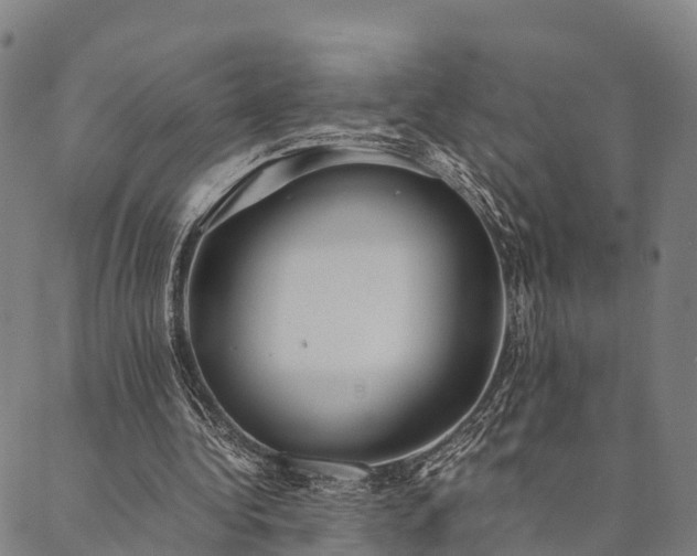 X0000090450340200707131234