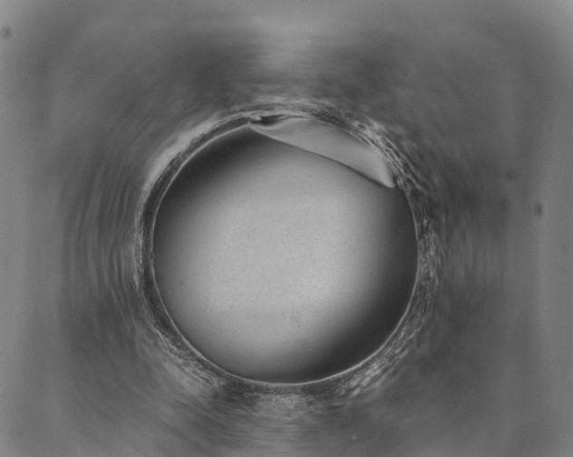 X0000090450342200707131234
