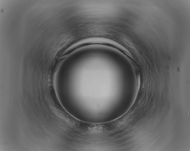 X0000090450362200707131234