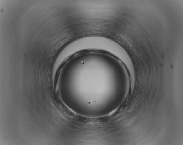 X0000090450364200707131234