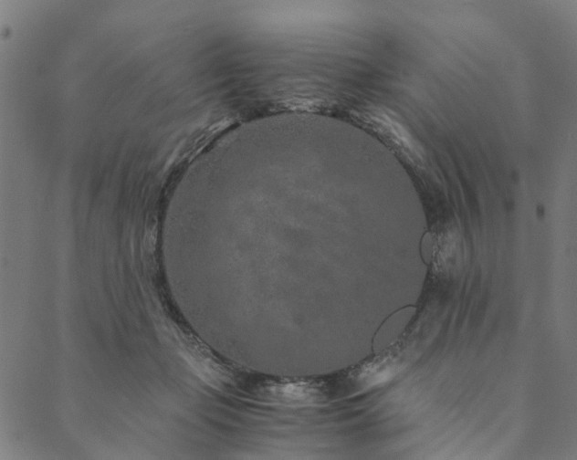 X0000090450365200707131234