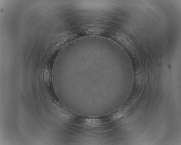 X0000090450371200707131234