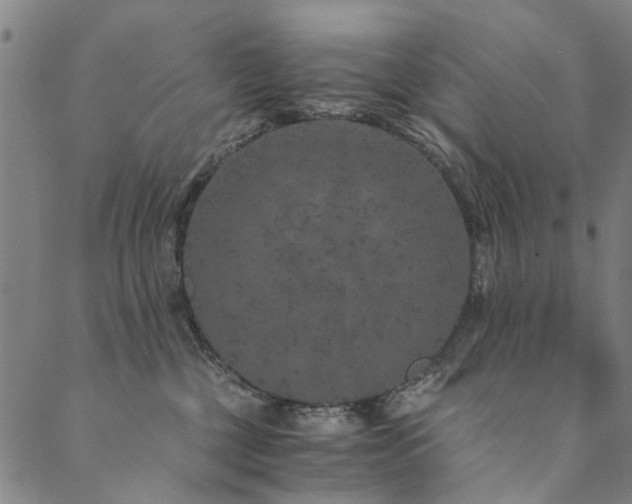 X0000090450377200707131234