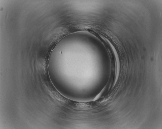 X0000090450380200707131234