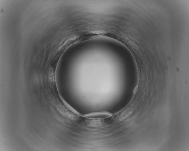 X0000090450384200707131234