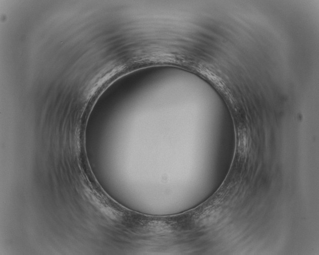 X0000090450390200707131233