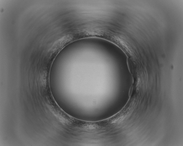 X0000090450402200707131233