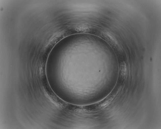 X0000090450408200707131233