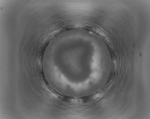 X0000090450415200707131233