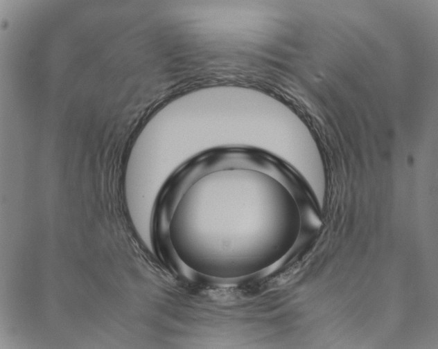 X0000090450417200707131233