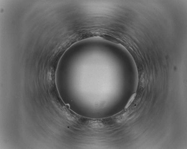X0000090450424200707131233