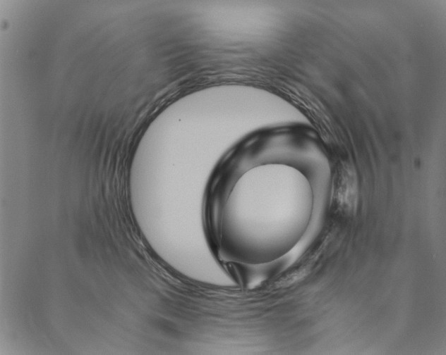 X0000090450425200707131233
