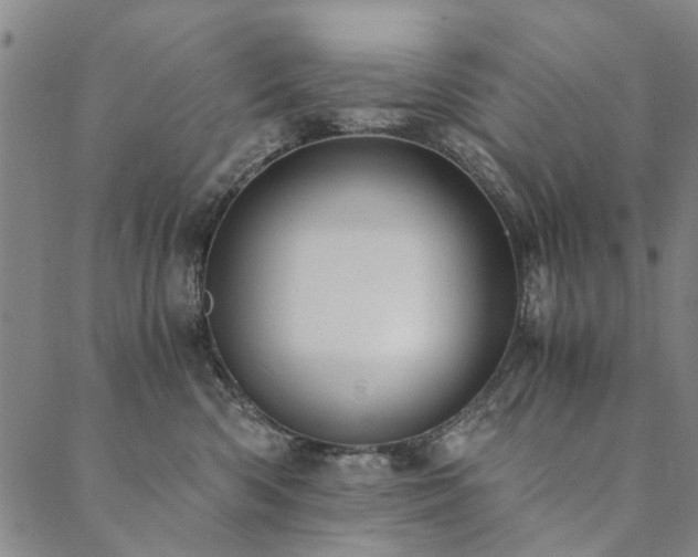 X0000090450426200707131233