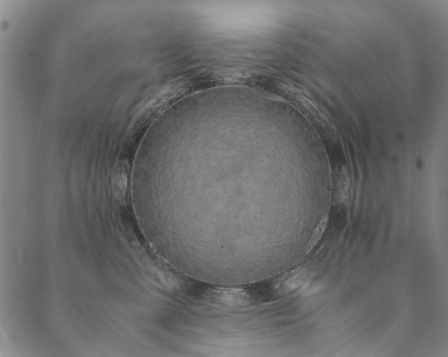 X0000090450427200707131233