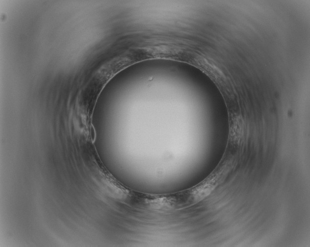 X0000090450430200707131233