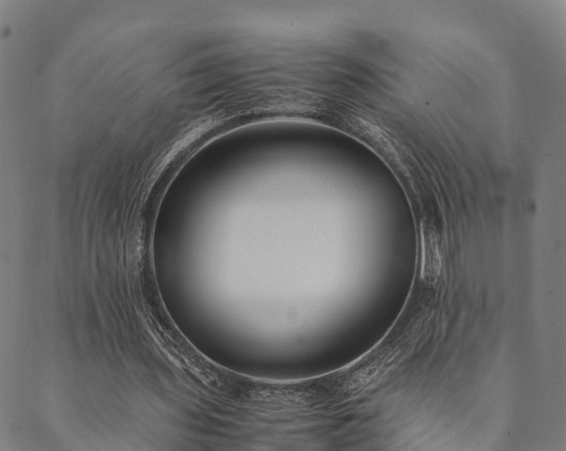 X0000090450435200707131232