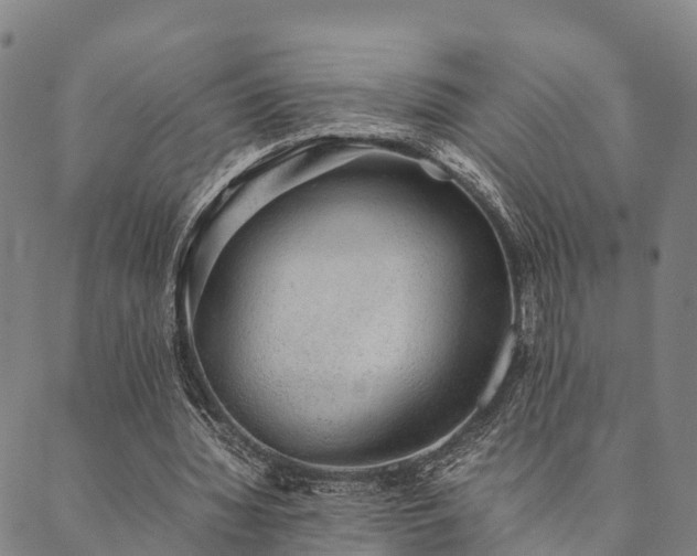 X0000090450436200707131232