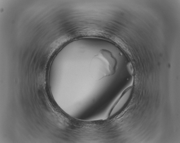X0000090450438200707131232