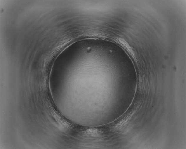 X0000090450441200707131232