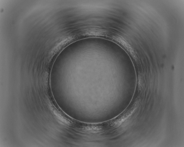 X0000090450445200707131232