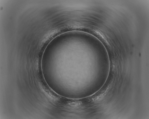 X0000090450447200707131232