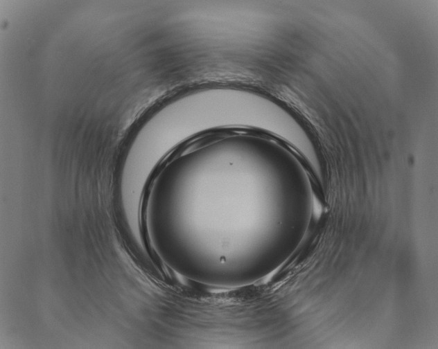 X0000090450448200707131232