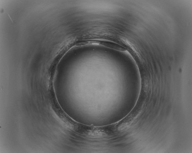 X0000090450451200707131232