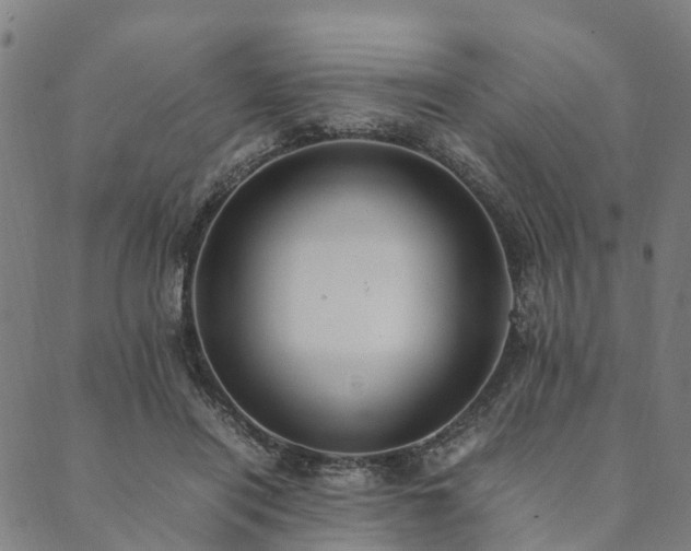 X0000090450454200707131232