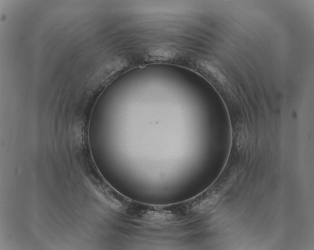 X0000090450455200707131232