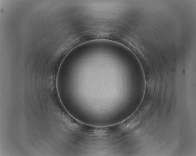 X0000090450462200707131232