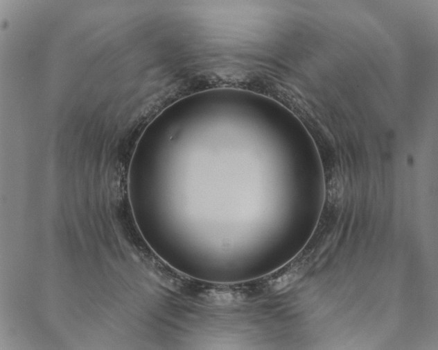 X0000090450464200707131232