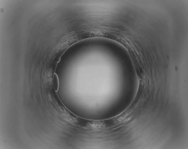 X0000090450466200707131233