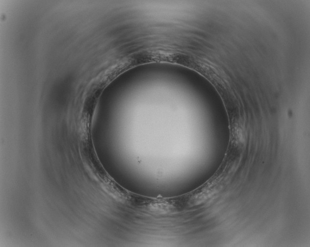 X0000090450468200707131233