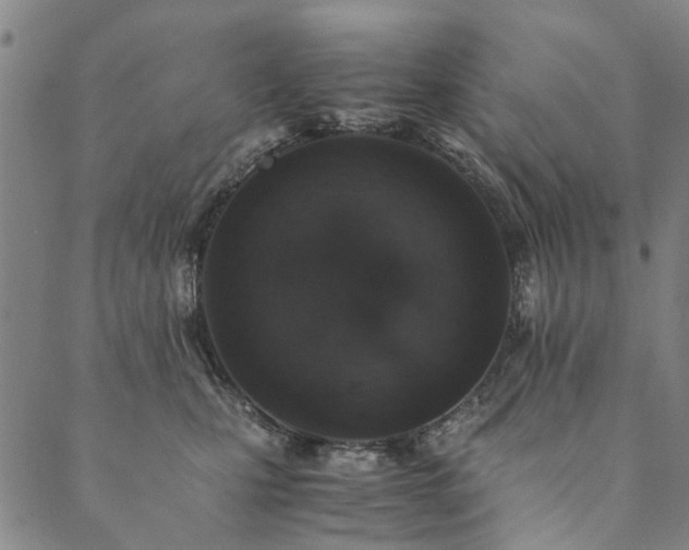 X0000090450471200707131233