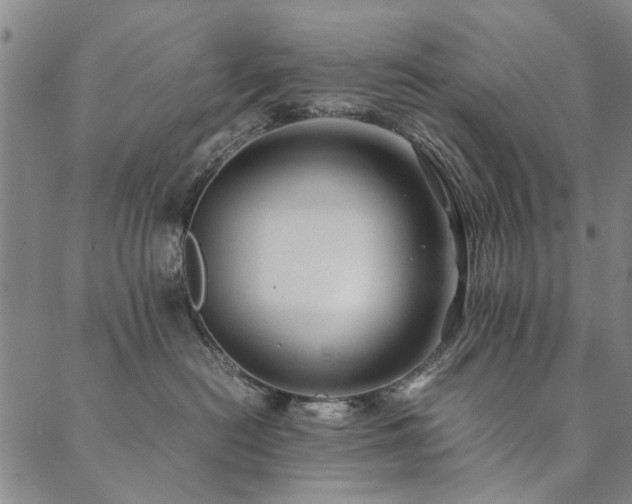 X0000090450478200707131233